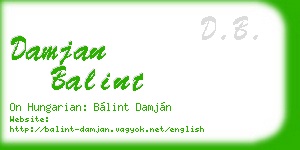 damjan balint business card