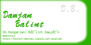 damjan balint business card